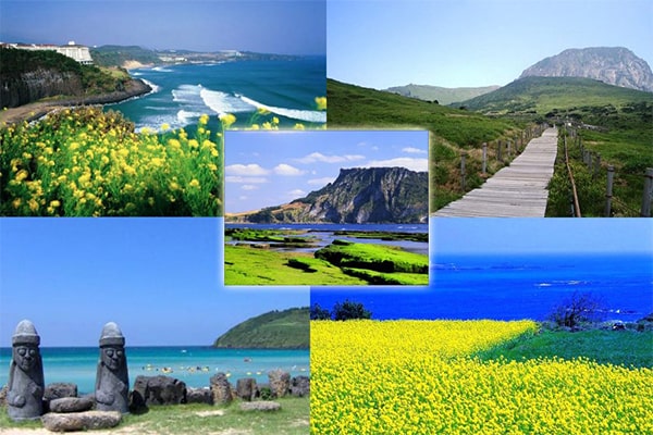 Kinh nghiệm đi du lịch Hàn Quốc - Đảo Jeju